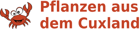 Pflanzen aus dem Cuxland Inh. Oliver Krebs – Logo