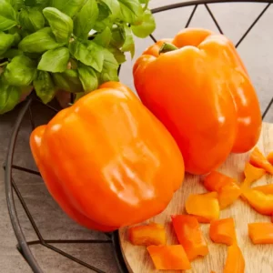 orange Blockpaprika