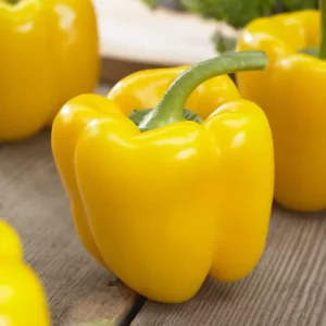 gelbe Blockpaprika