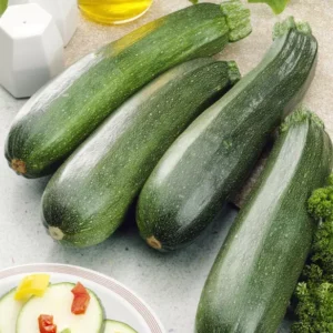 Zucchini
